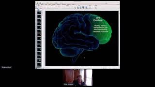 CCSC 21 | Amy Arnsten -  The Effects of Stress on Prefrontal Cortical Function