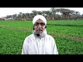 fertilizer plan for getting high yield of berseem crop reformer