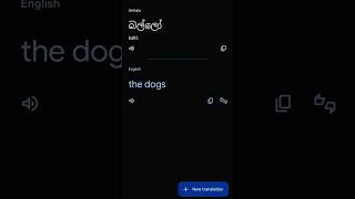 ඇයි අනේ translate app එක කෙල්ලොන්ට මෙහෙම කරන්නෙ