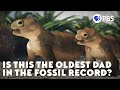 Is This The Oldest Dad In The Fossil Record?