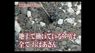 【トリビアの泉】ことわざ「急がば回れ」で「回れ」と言われていたのは琵琶湖