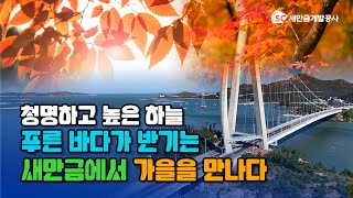 [SC 시민기자단] 새만금에서 가을을 만나다🍂