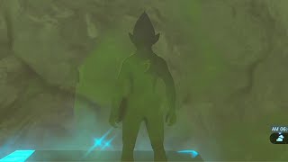 【ブレワイ(BotW)】依頼を受けて、泉にある石の扉を壁抜けしてリアルになってみた【ドリカラ】