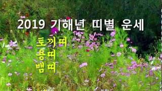 2019년 토끼띠,용띠,뱀띠 운세  -   2019년 기해년 띠별 사주 운세보기