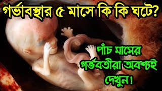 পাঁচ মাসের গর্ভাবস্থায় কি কি বিপদ আসে? || আপনি ৫ মাসের গর্ভবতী হয়ে থাকলে ভিডিওটি অবশ্যই দেখুন!