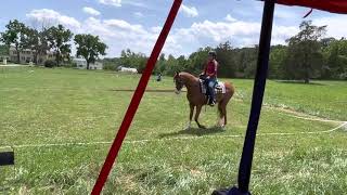 WDAA 2022 International Challenge 22O SB Heritage +/ and Hillary Rapier