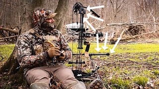 Redline Stabilizers and RL-1 3 Arrow Quiver! (Why I Like Them)