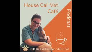 Ep 11: The E-Myth Veterinarian: Why Most Veterinary Practices Don’t Work \u0026 What to Do About It: D...