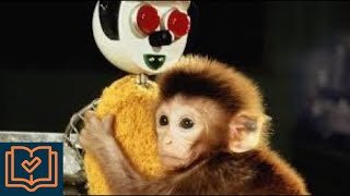 WORLDs most famous EXPERIMENT about Mother's LOVE | Harry Harlow monkey experiment|Attachment theory