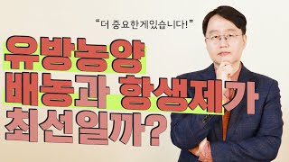 유방농양 대학병원에서 치료했는데....왜 완치가 안되고 계속 고름이 찰까요? (잘못된 배농치료 수술로 이어질 수 있습니다.)