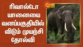 ரிவால்டோ யானையை வனப்பகுதியில் விடும் முயற்சி தோல்வி  | Rivalto Elephant | Gudalur