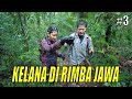 JEJAK PETUALANG | KELANA DI RIMBA JAWA (24/08/21) Part 3