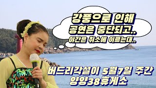 버드리각설이 5월7일 주간 강풍으로 결국 공연은중단되고~~