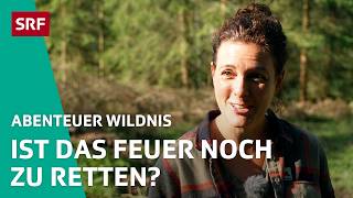 Die Vollzeitmütter kämpfen ums Feuer für Trinkwasser | Abenteuer Wildnis S2 2/5 | SRF