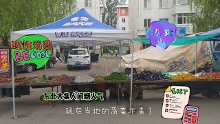 东北小城镇赶大集：一百块能买多少东西？感受人间烟火气。