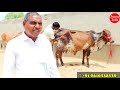 z black kapila 👑ऐसी गाय जहां मिले तुरंत ले लेना 👍 6 sahiwal cow दुर्लभ श्याम कपिला के साथ 👌farm talk