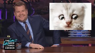 Does Trump Need the Cat Lawyer?