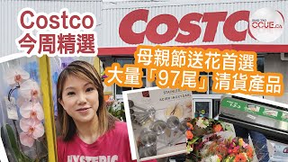 #CCUE Costco貼士｜買花首選Costco母親節都唔加價 更多「.97」的清貨優惠產品 #好市多 #多倫多生活 #精明消費 #costco情報 #costco #萬錦