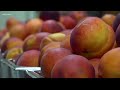 Gilbert, SC Peach Festival Expected to Be Extra Peachy