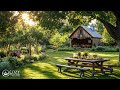 peaceful jazz in morning garden cozy jazz music for chilling and relaxing