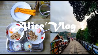 【Alice Vlog】中文教师在泰国🇹🇭Chinese teacher of Thailand International School