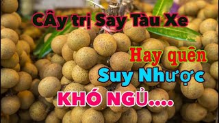 Cây Trị Khó N.G.Ủ mau quên, Say Tầu Xe, Suy N.H.ƯỢC T.Kinh, Rất Tuyệt Vời | CTVC