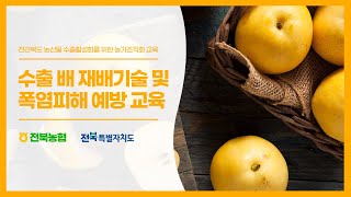 배 재배기술 교육 영상