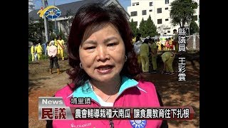 20180302 民議新聞 農會輔導栽種大南瓜 讓食農教育往下扎根(縣議員 王彩雲 廖志城)