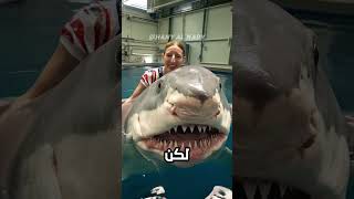 هذه المرأة قامت بمغامرة لاتصدق!! 😨 🦈 ‼️ #shorts