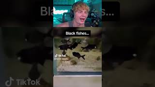 Scariest Things Found In The Deep Ocean