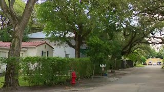 What if property taxes go away in Florida? Here's what to know
