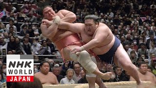 GRAND SUMO: Day 3 of the January 2025 Tournament - GRAND SUMO Highlights