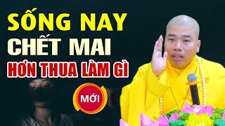 Sống nay chết mai, hơn thua làm gì - Thầy Thích Nhuận Đức (nghe mà thấm từng lời)