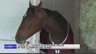 Churchill Downs suspending races after 12 horses die