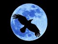 crow moon brigandu dragon fly mystic folk