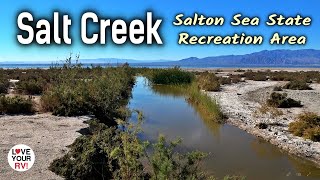 Salton Sea SRA Camping and Visit to the Dos Palmes Preserve