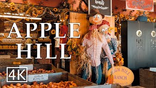 [4K] Apple Hill - High Hill Ranch -  California - Walking Tour