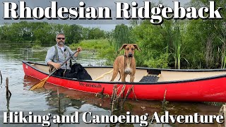 Rhodesian Ridgeback Training - Hiking and Canoeing Session Example