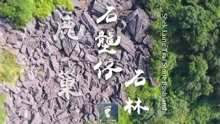 奇幻佈局 － 石壟仔石林 (Shek Lung Tsai Stone Bushland) [4K航拍]