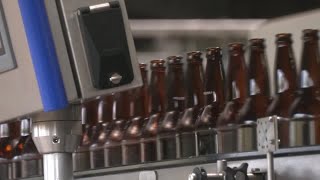 Congo beer factory a beacon in area hit by rebels