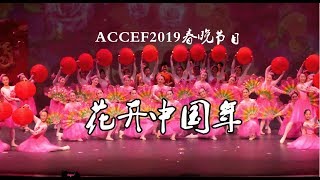 2019年ACCEF春晚开场舞蹈《花开中国年》