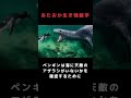 ペンギンの意外な恐怖の一面 動物 生き物 豆知識 雑学 トリビア shorts