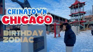 Your Birthday Zodiac Reading in Chinatown Chicago #zodiac #astrology #vibes