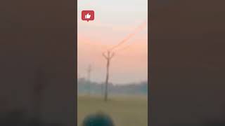 গাভৰু ছোৱালী #video #love #shorts #viral