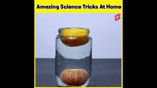 3 Amazing Science tricks || जो आपके होश उड़ा देंगे 😱 || @MRINDIANHACKER @CrazyXYZ #ytshorts #viral