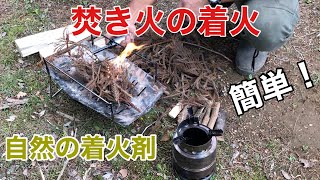 【焚き火】焚き火台/ウッドストーブの着火が簡単！自然の着火剤