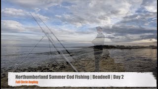 Northumberland Summer Cod Fishing | Beadnell | Part 2