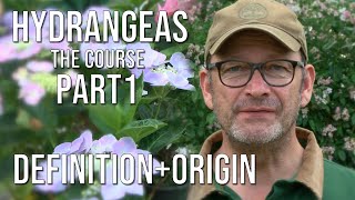 Hydrangeas The Course | Varieties, Care, Fertilization, Pruning | Part 1 Definition and Origin