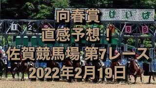 向春賞 直感予想！ 佐賀競馬場   第7レース 2022年2月19日