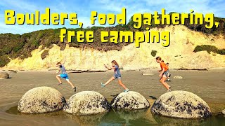 Free camp Warrington Reserve, Moeraki Boulders, Cockle gathering